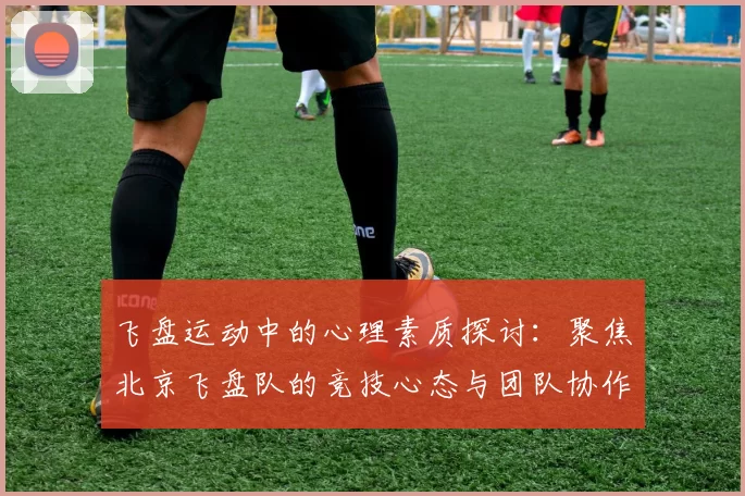 飞盘运动中的心理素质探讨:聚焦北京飞盘队的竞技心态与团队协作
