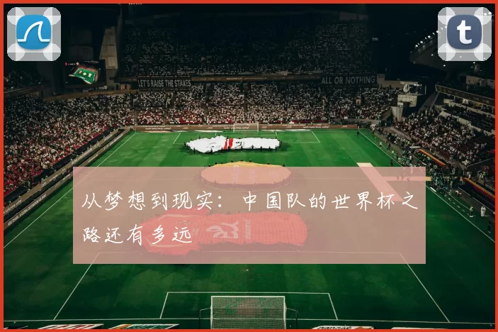 从梦想到现实:中国队的世界杯之路还有多远