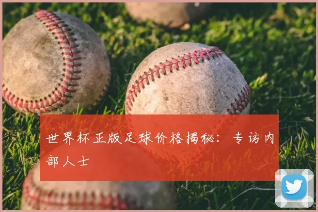 世界杯正版足球价格揭秘:专访内部人士