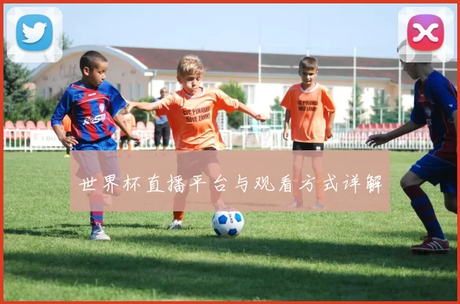 世界杯直播平台与观看方式详解