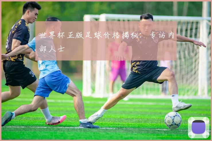 世界杯正版足球价格揭秘：专访内部人士