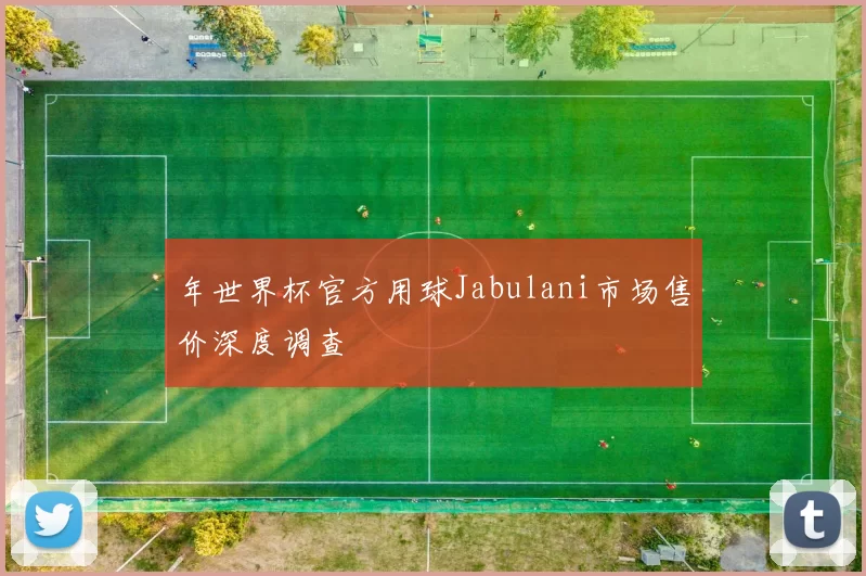 年世界杯官方用球Jabulani市场售价深度调查