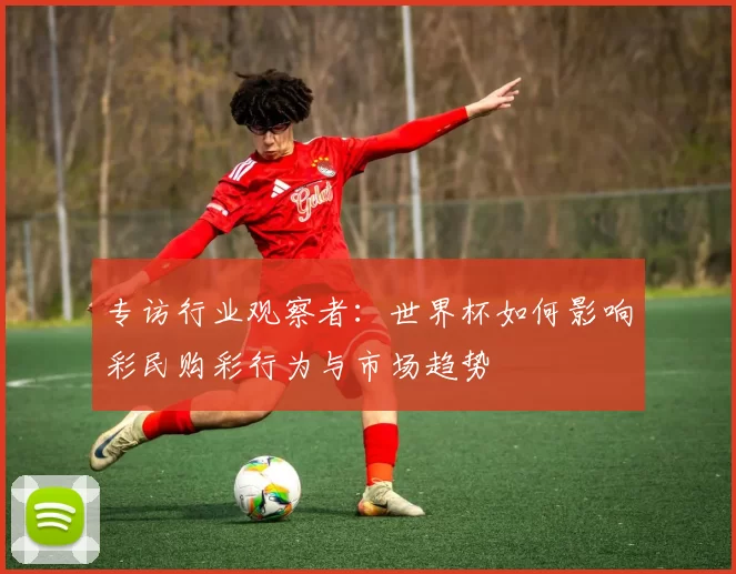 专访行业观察者:世界杯如何影响彩民购彩行为与市场趋势