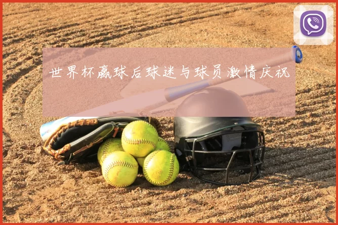 世界杯赢球后球迷与球员激情庆祝