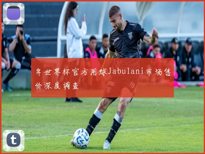 年世界杯官方用球Jabulani市场售价深度调查