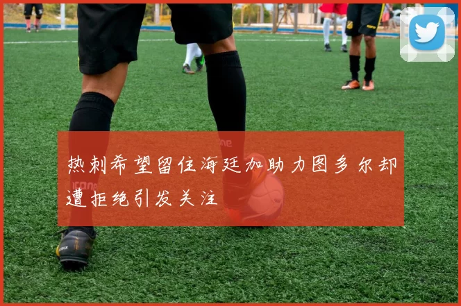 热刺希望留住海廷加助力图多尔却遭拒绝引发关注