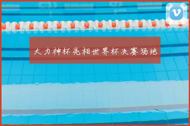 大力神杯亮相世界杯决赛场地