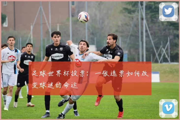 足球世界杯投票：一张选票如何改变球迷的命运